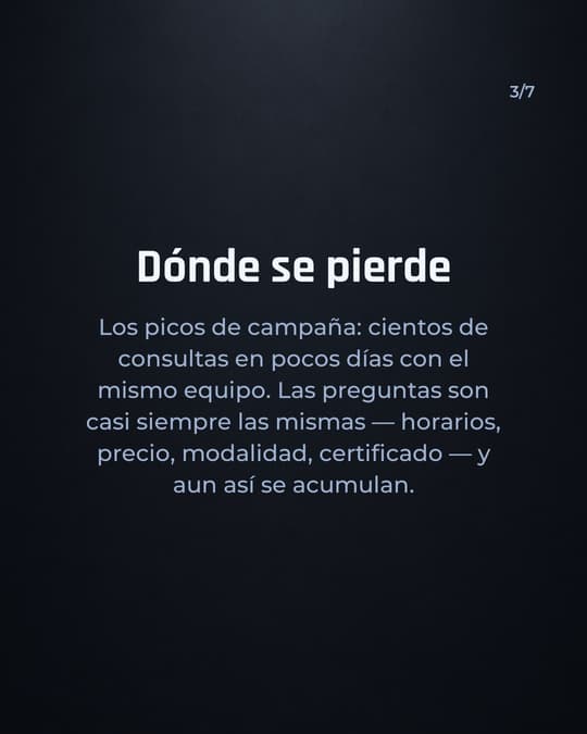 Lámina 3