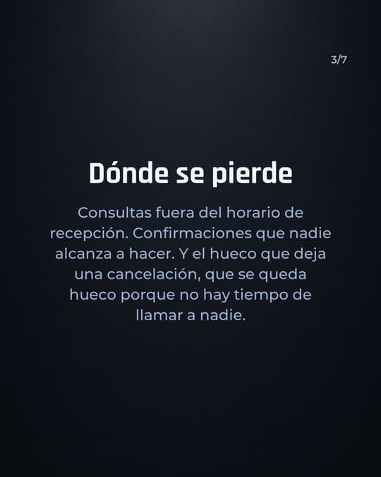 Lámina 3