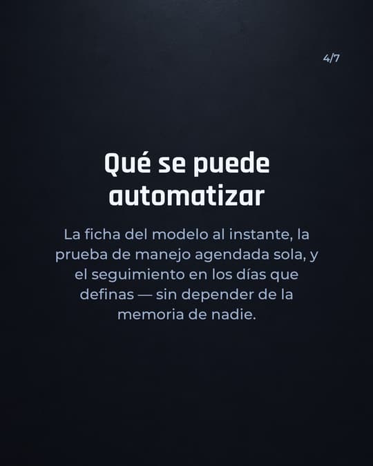 Lámina 4