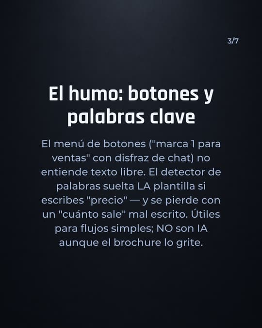Lámina 3