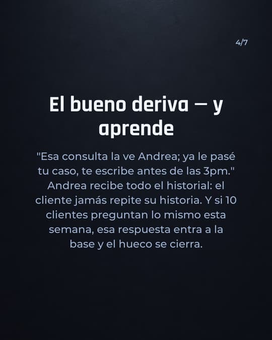 Lámina 4