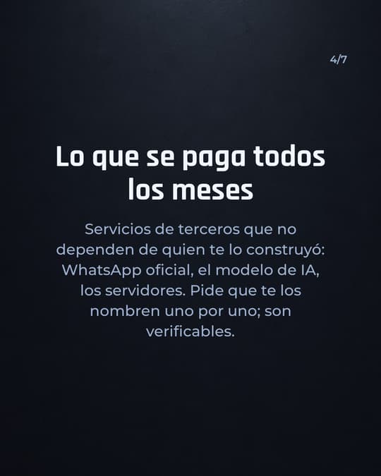 Lámina 4
