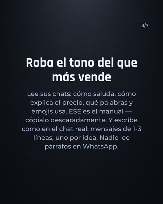 Lámina 3