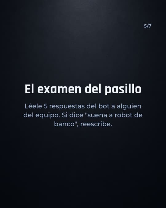 Lámina 5