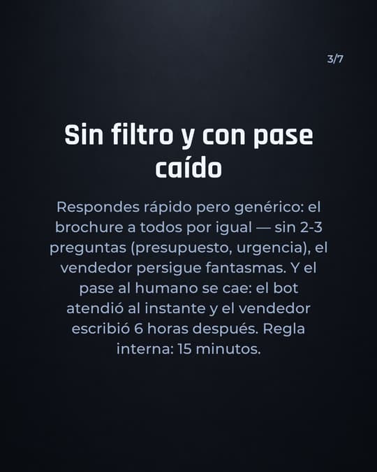 Lámina 3