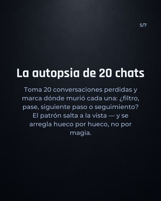 Lámina 5